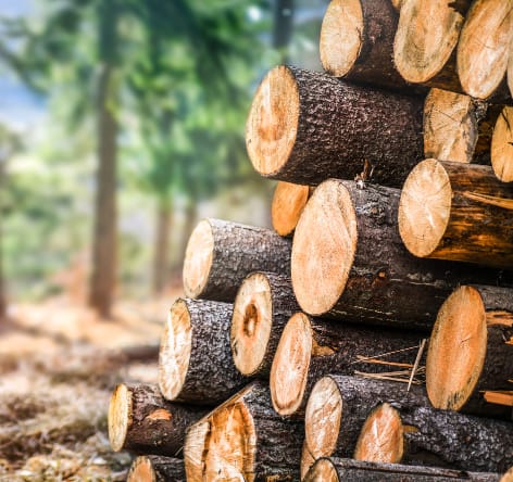 Case prefabbricate ecosostenibili legname